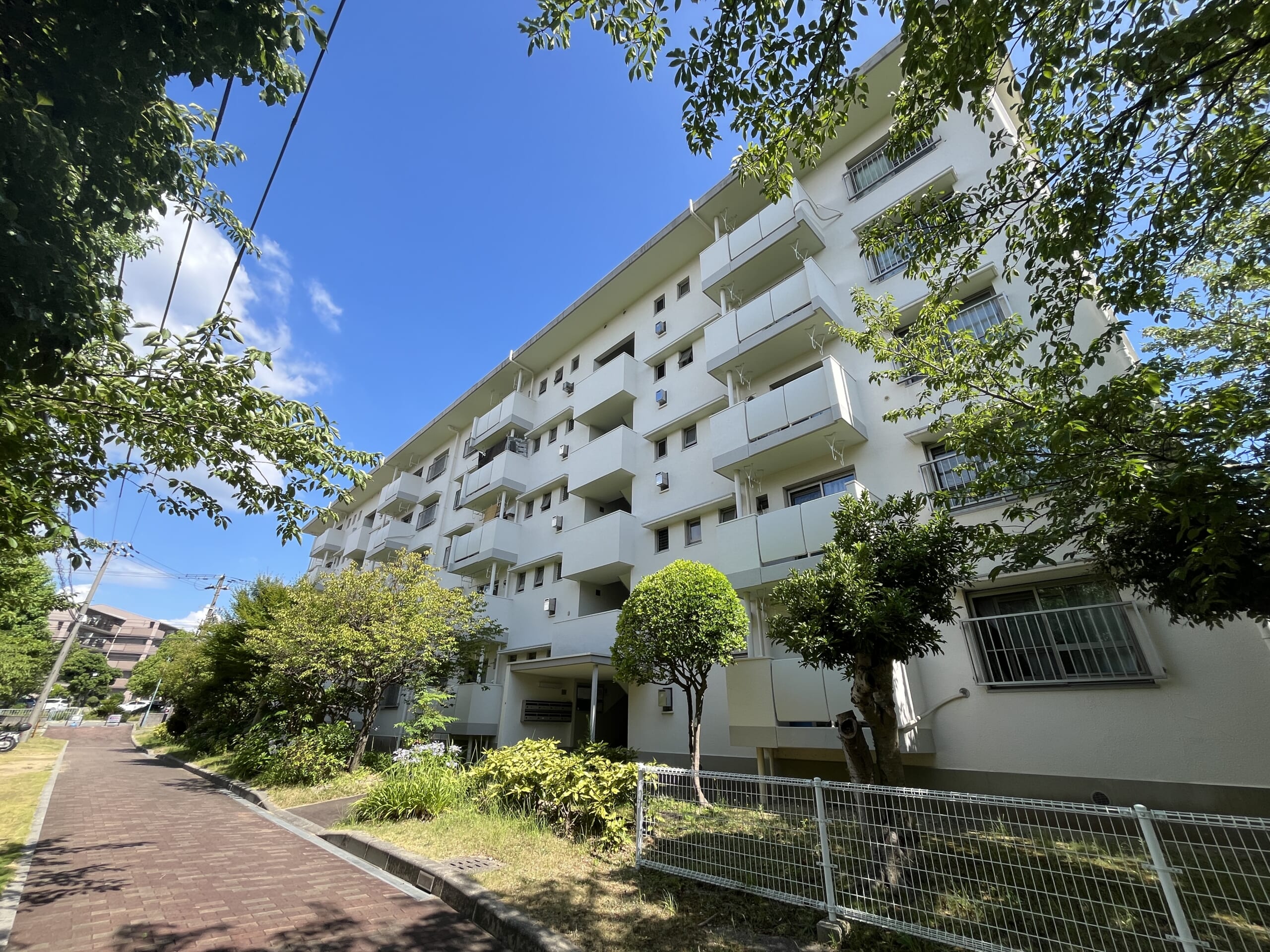 【専任】新多聞第三住宅団地215号棟