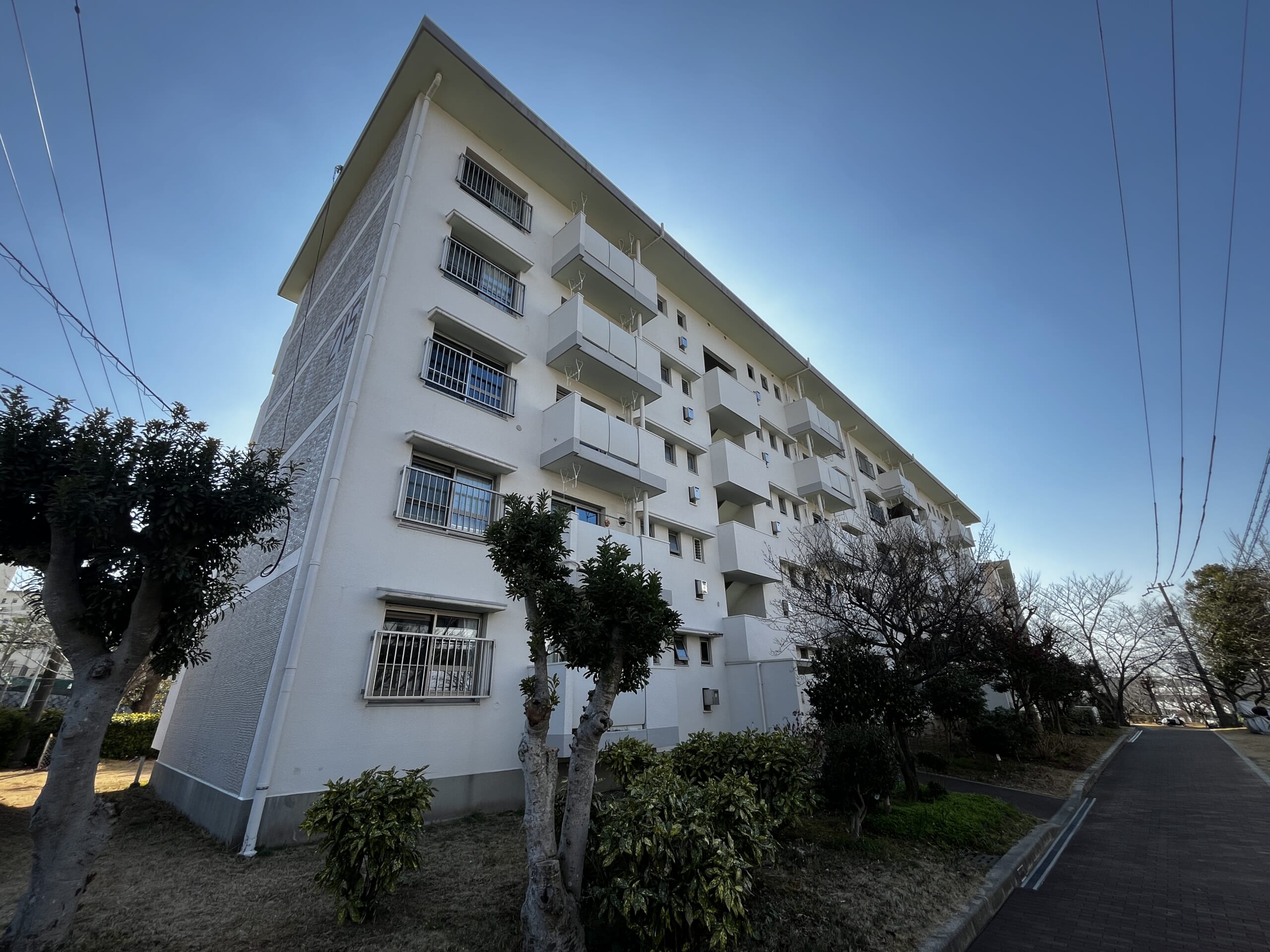 【専任】新多聞第三住宅団地215号棟