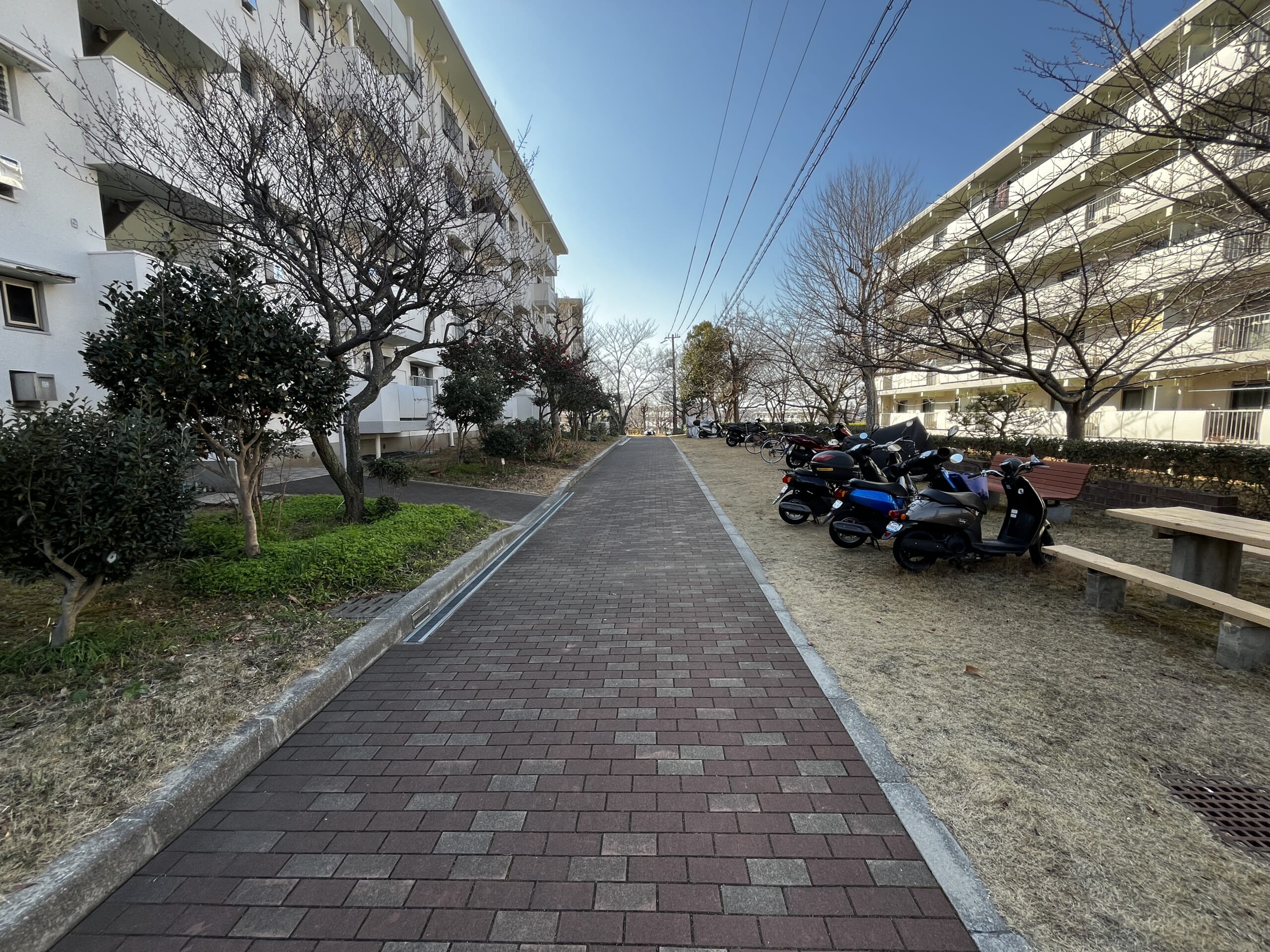 【専任】新多聞第三住宅団地215号棟