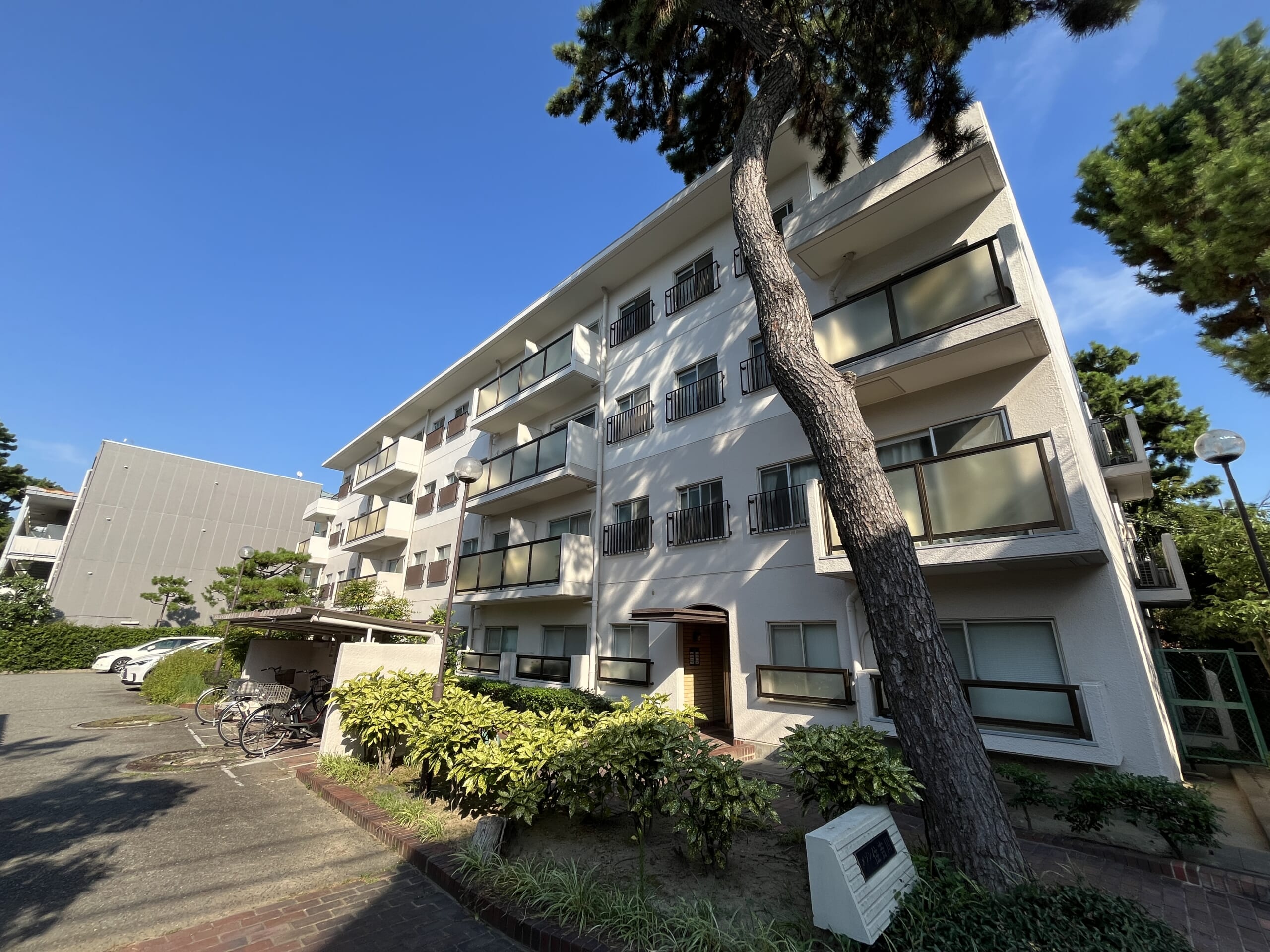【専任】メゾン住吉川