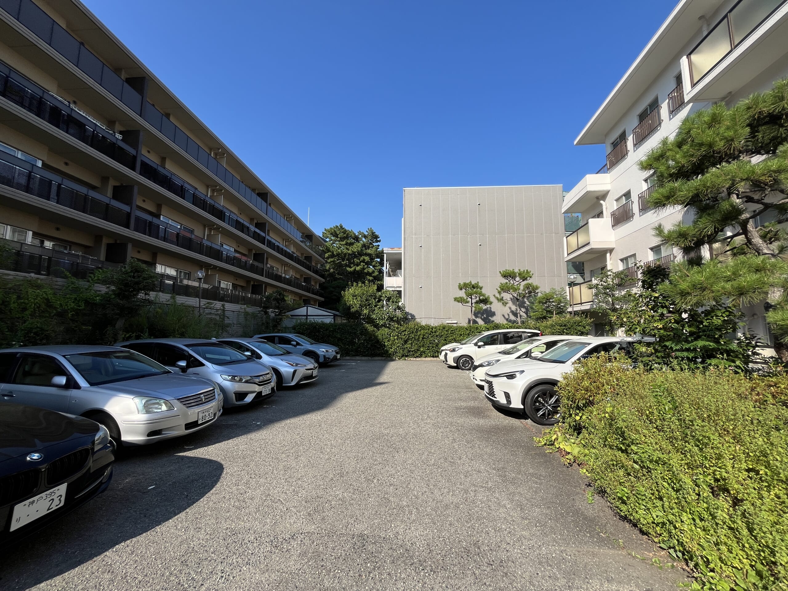 【専任】メゾン住吉川