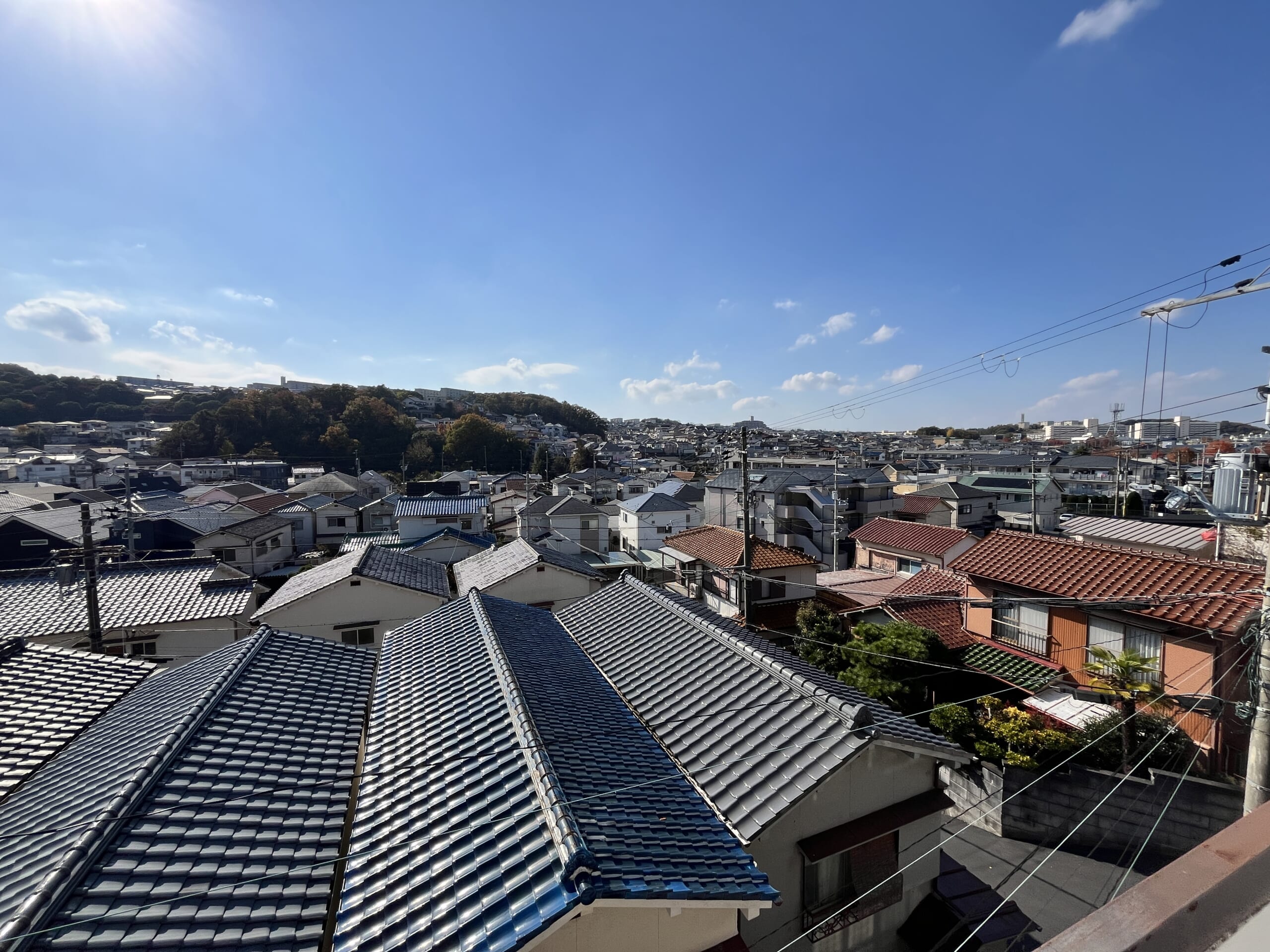 【専任】メゾンネバーランド